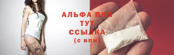 крисы Арсеньев
